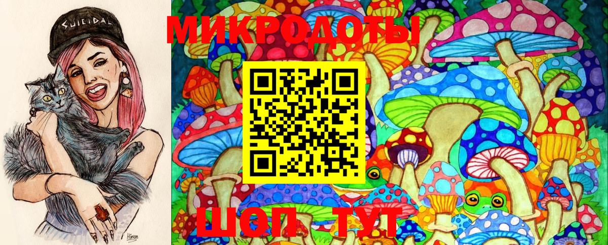 Псилоцибиновые грибы Psilocybine cubensis Шадринск