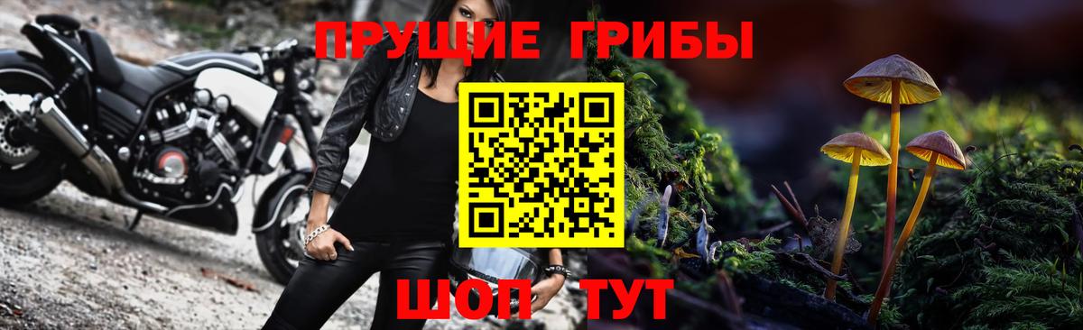 Галлюциногенные грибы Cubensis  Галлюциногенные грибы MAGIC MUSHROOMS  Вход с VPN  Шадринск 